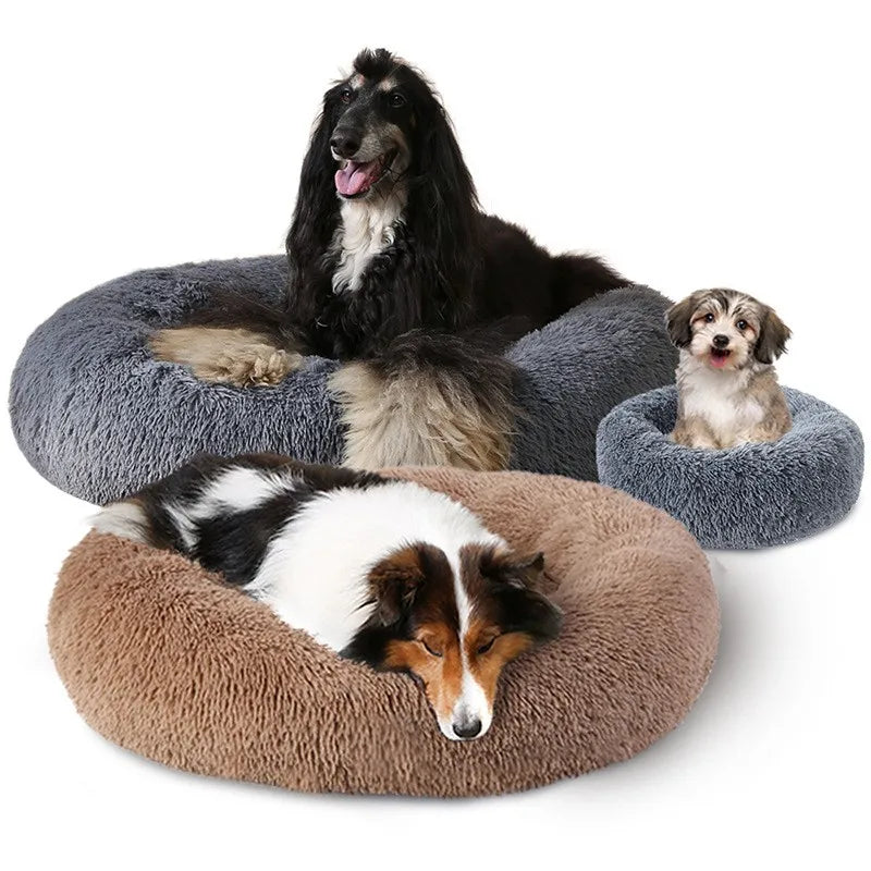 Human Size Dog Bed