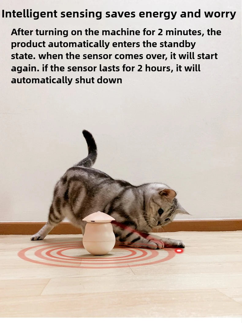 Timed Automatic Cat Laser