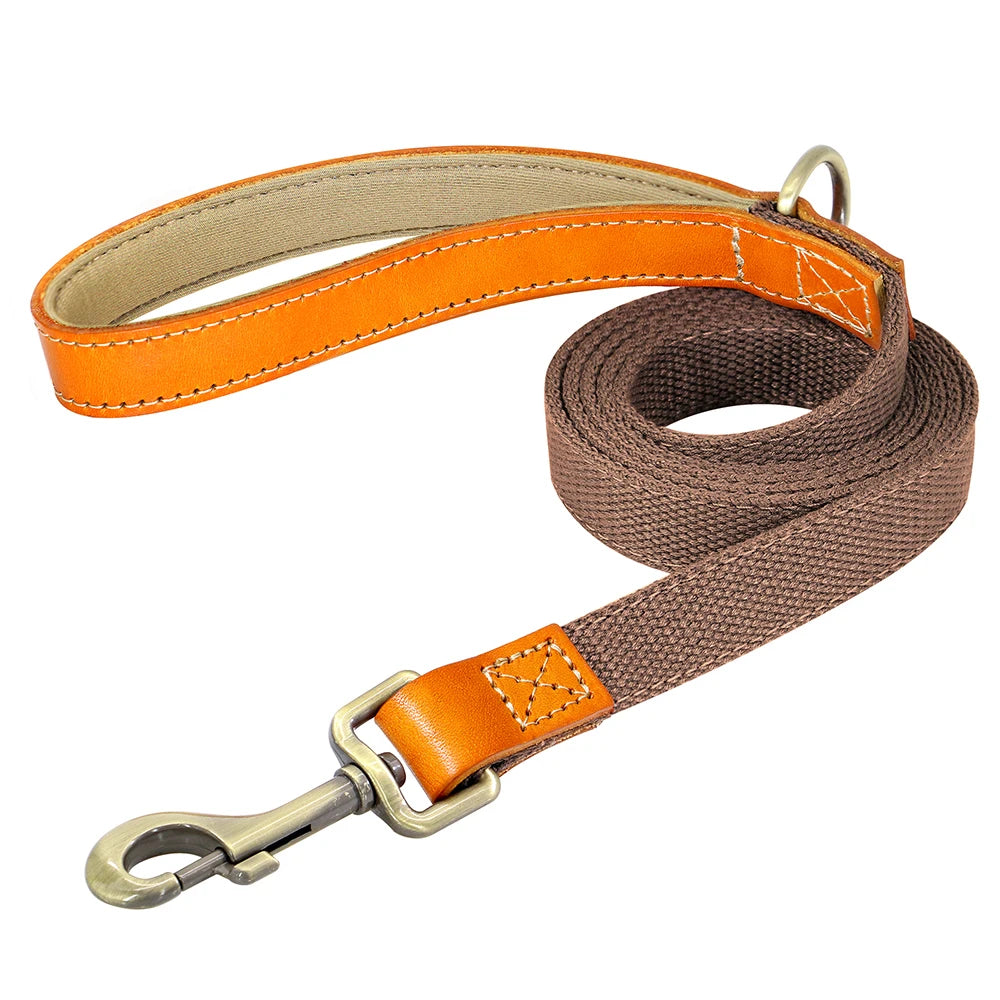 Nylon Dog Walking Leash
