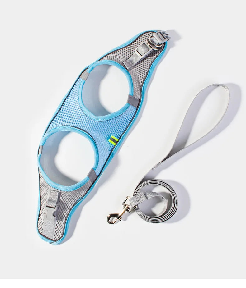 Dog Harness Leash Set
