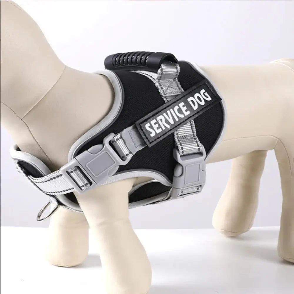 Reflective Dog Harness Set