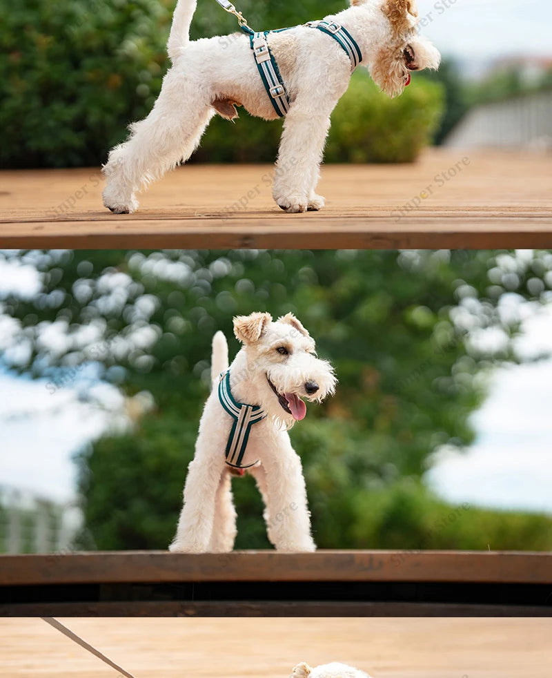Square Waterproof Dog Bed