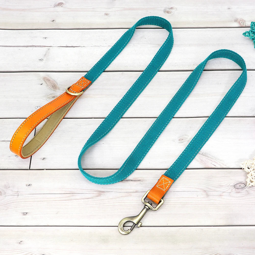 Nylon Dog Walking Leash