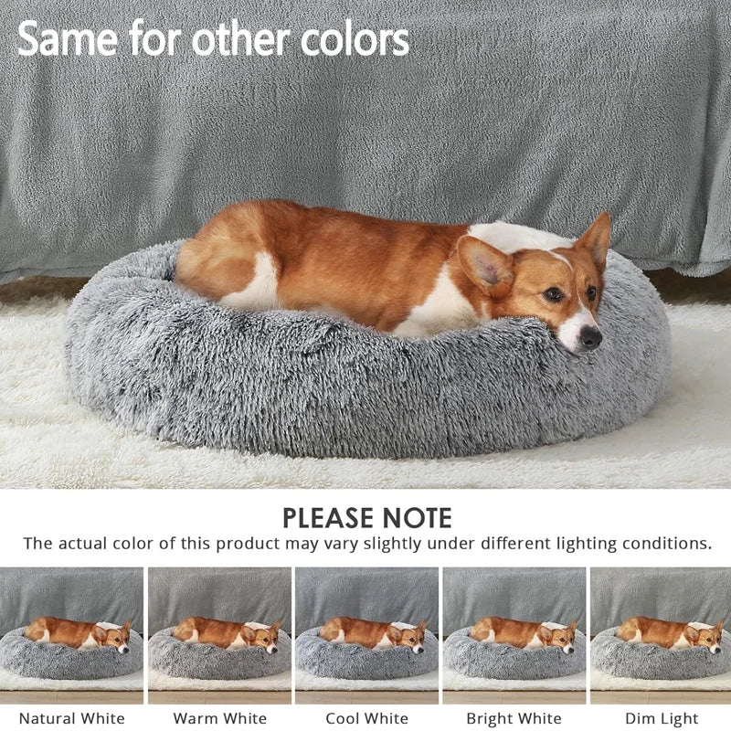 Hot Dog Shaped Pet Bed