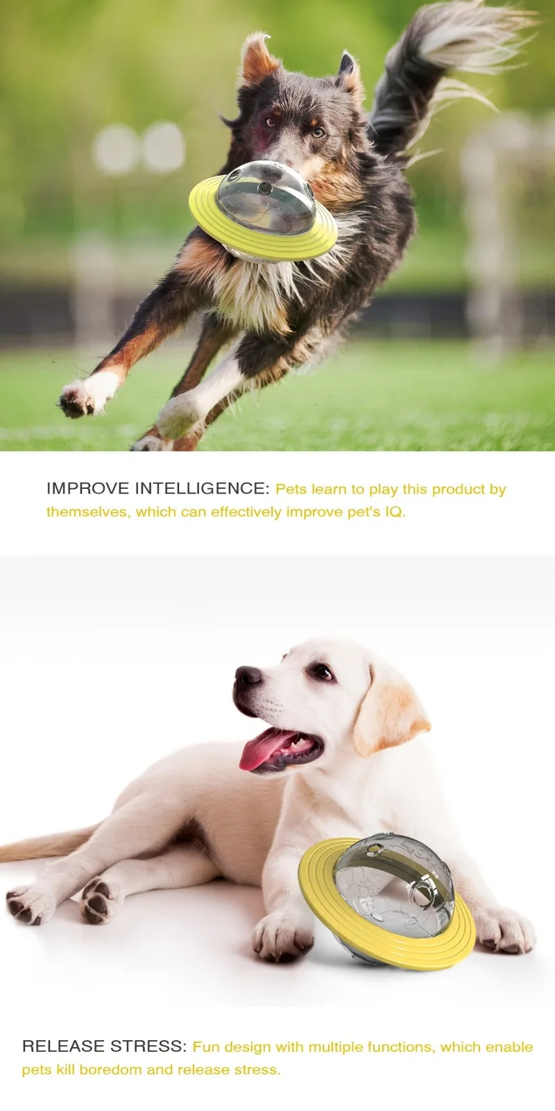 Interactive Plush Cat Toy