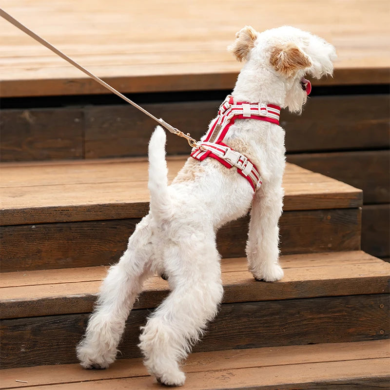 Square Waterproof Dog Bed