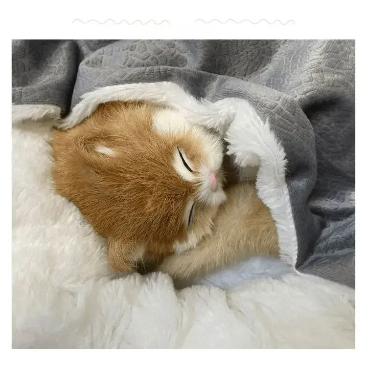 Indoor Plush Dog Mattress