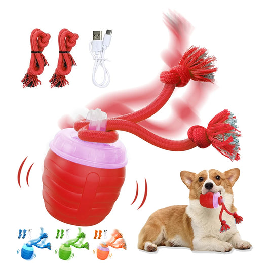 Treat Dispensing Dog Ball