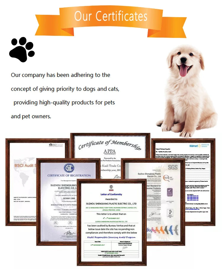 Dog Water Bottle Food Box