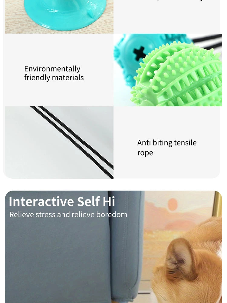 Smart Interactive Dog Ball