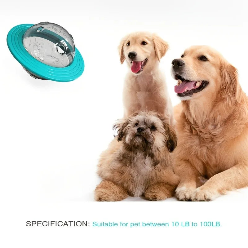 Interactive Plush Cat Toy