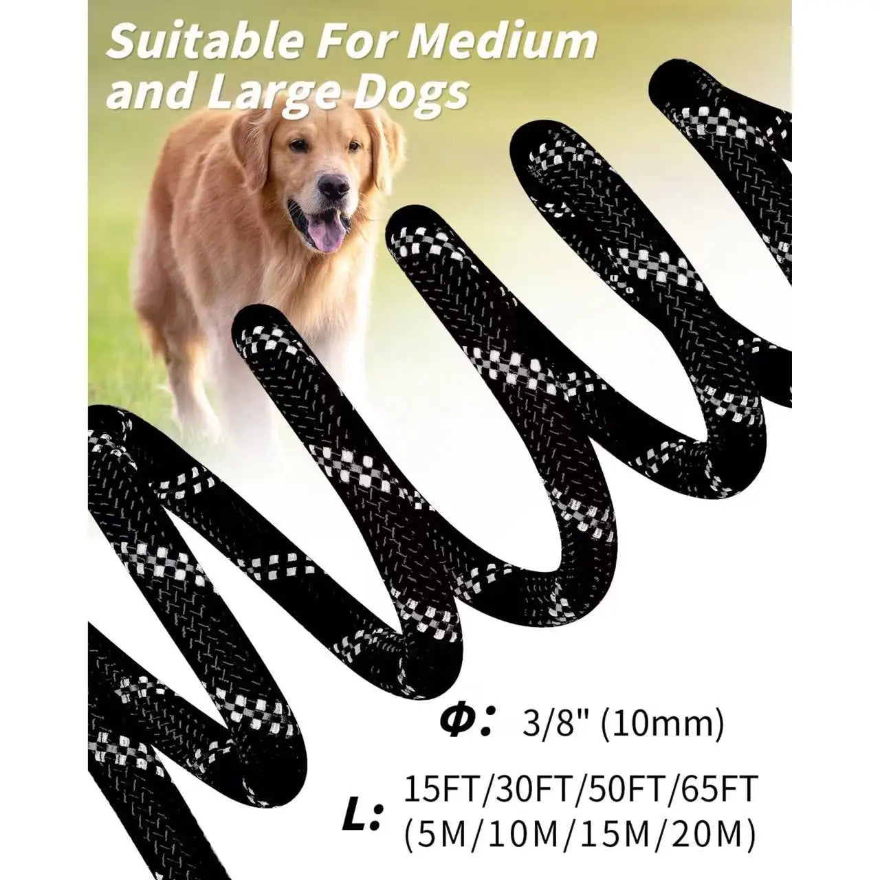 Long Training Dog Leash