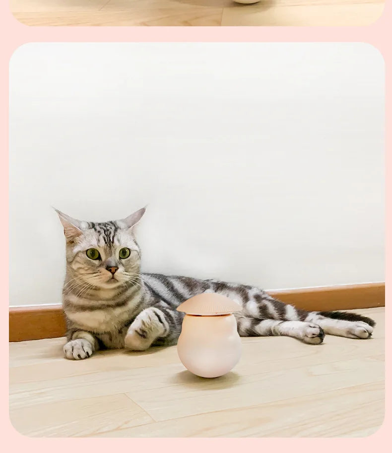 Timed Automatic Cat Laser