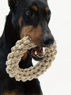 Colorful Puppy Rope Toy