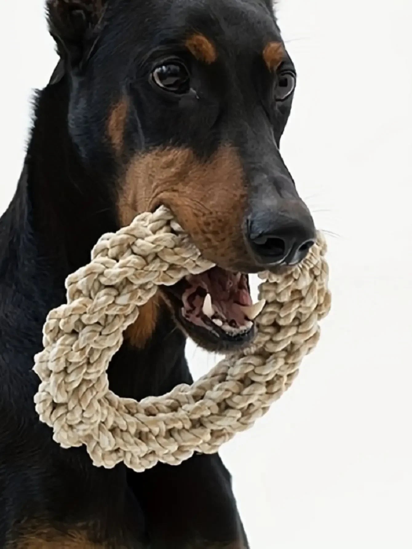 Colorful Puppy Rope Toy