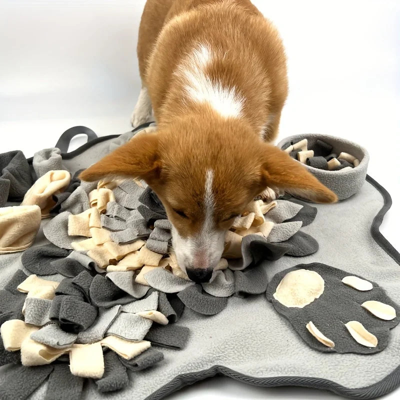 Recordable Dog Training Buttons