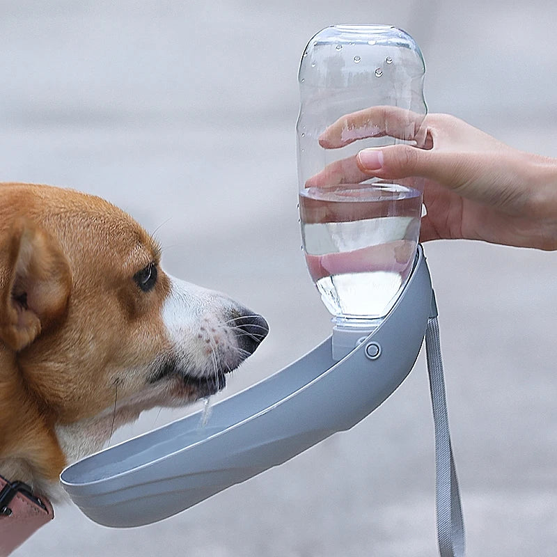 Foldable Dog Water Bottle