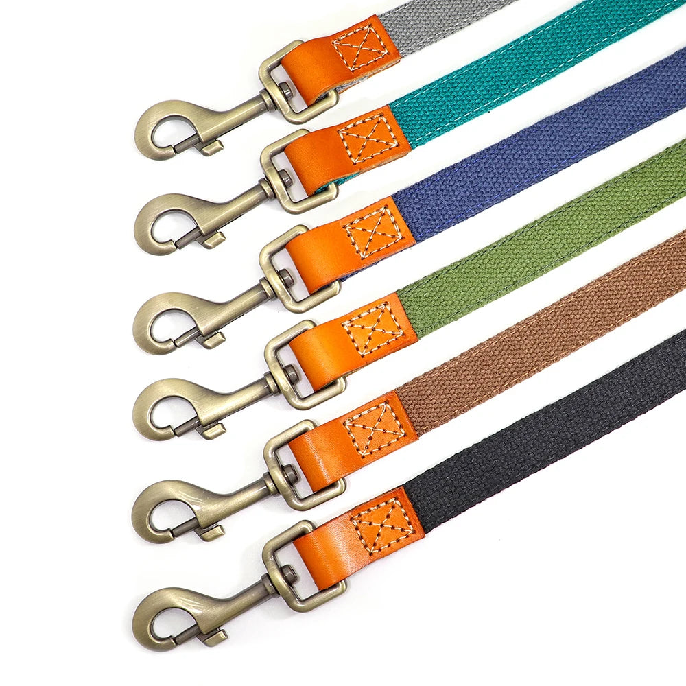 Nylon Dog Walking Leash