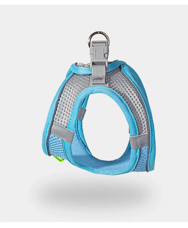 Dog Harness Leash Set