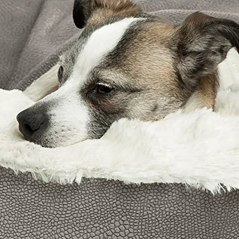 Indoor Plush Dog Mattress