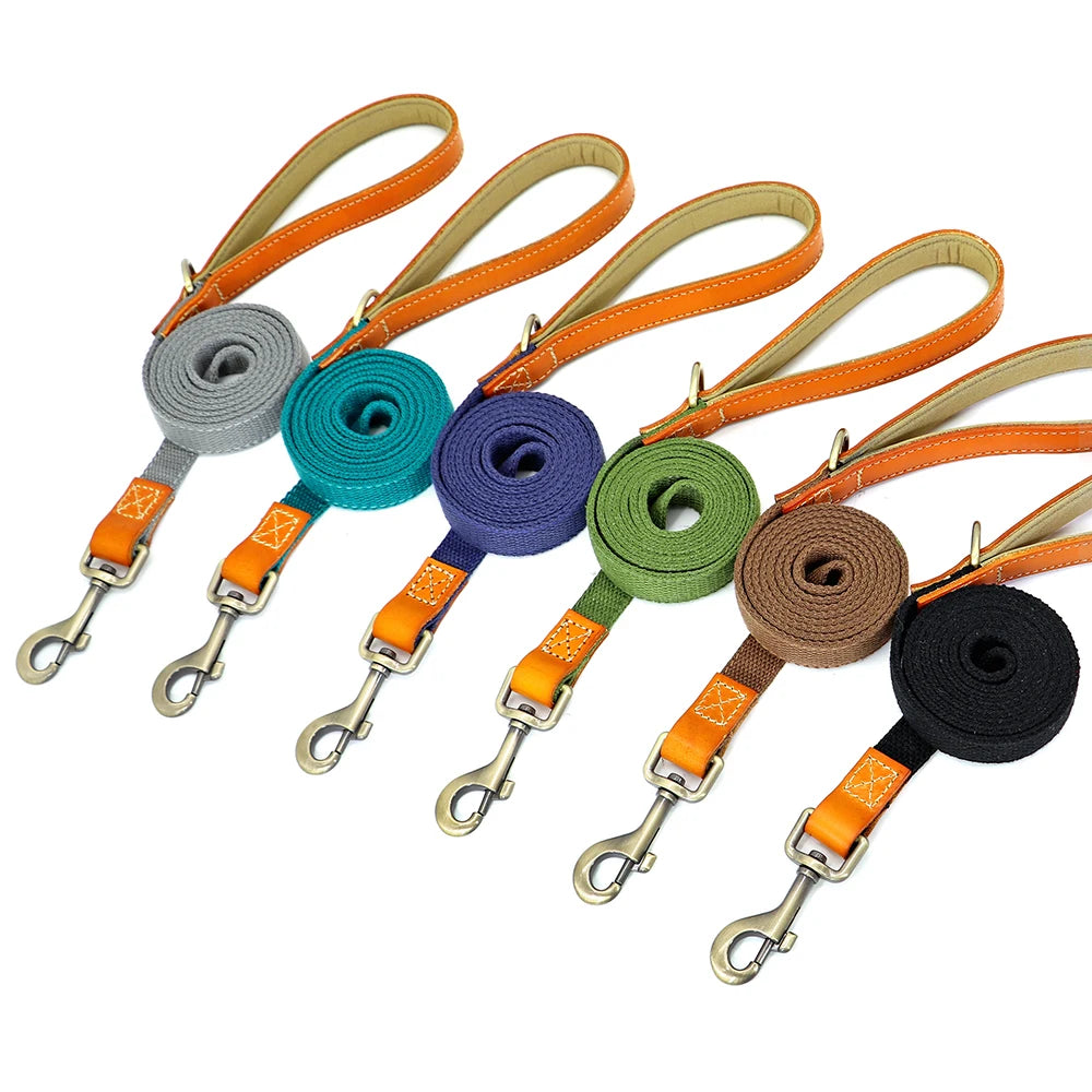 Nylon Dog Walking Leash