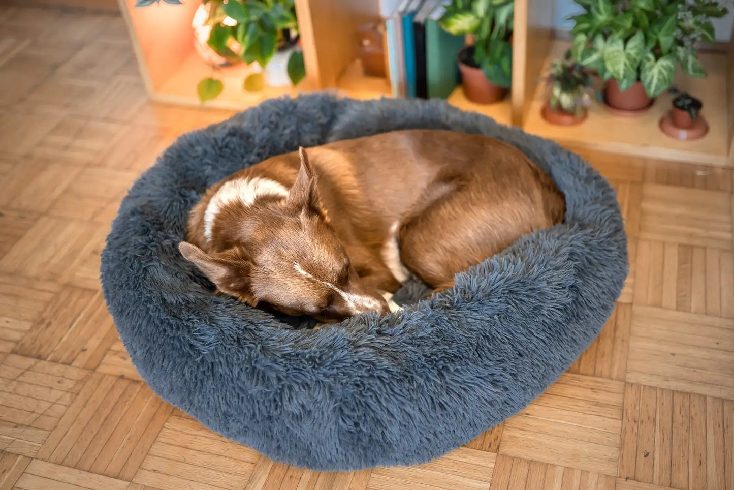 Hooded Orthopedic Dog Bed