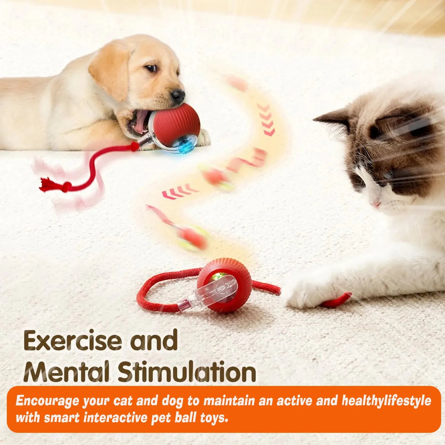 Dog Puzzle Feeder Toy