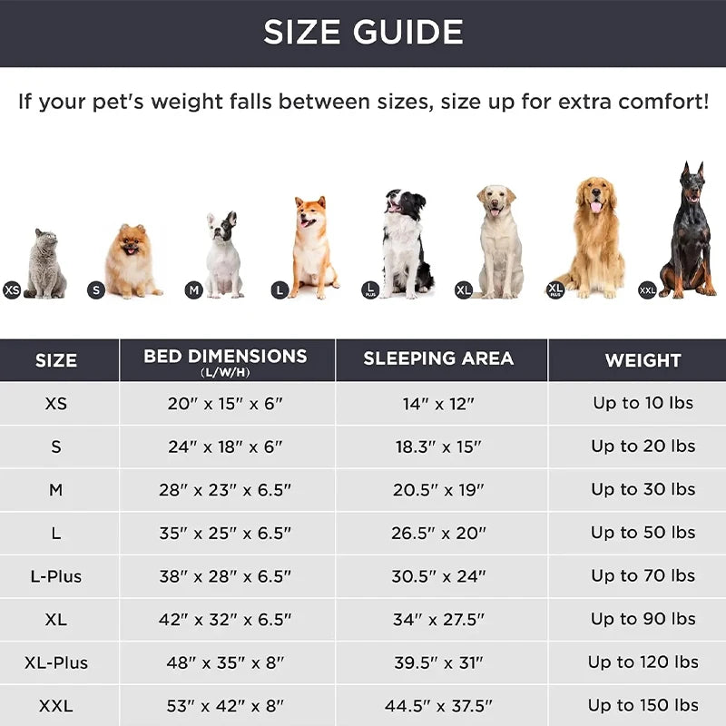 Elevated Folding Dog Bed