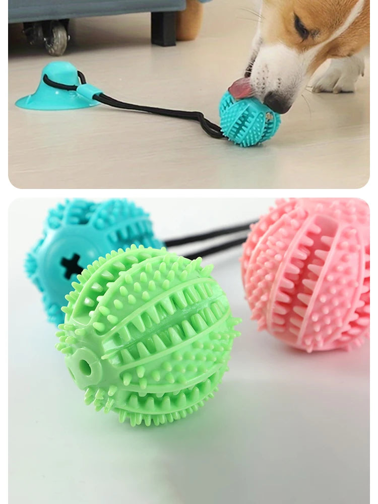 Smart Interactive Dog Ball