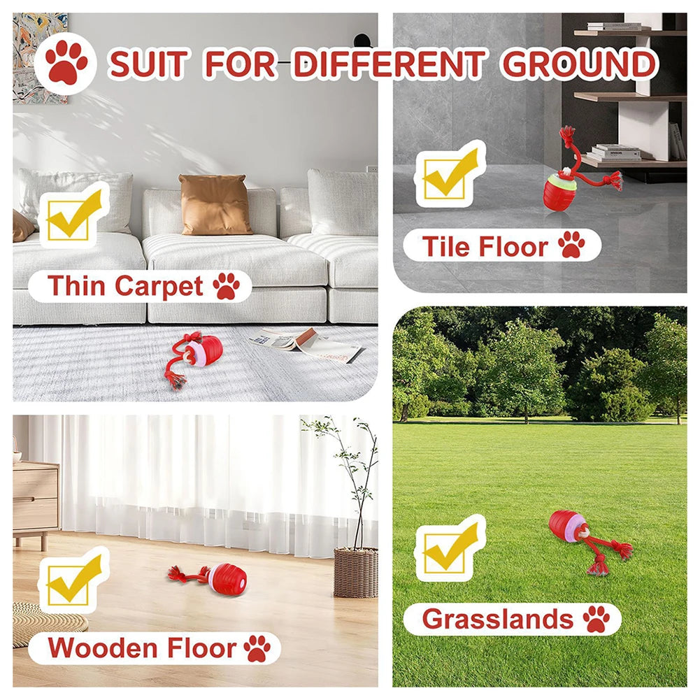 Treat Dispensing Dog Ball