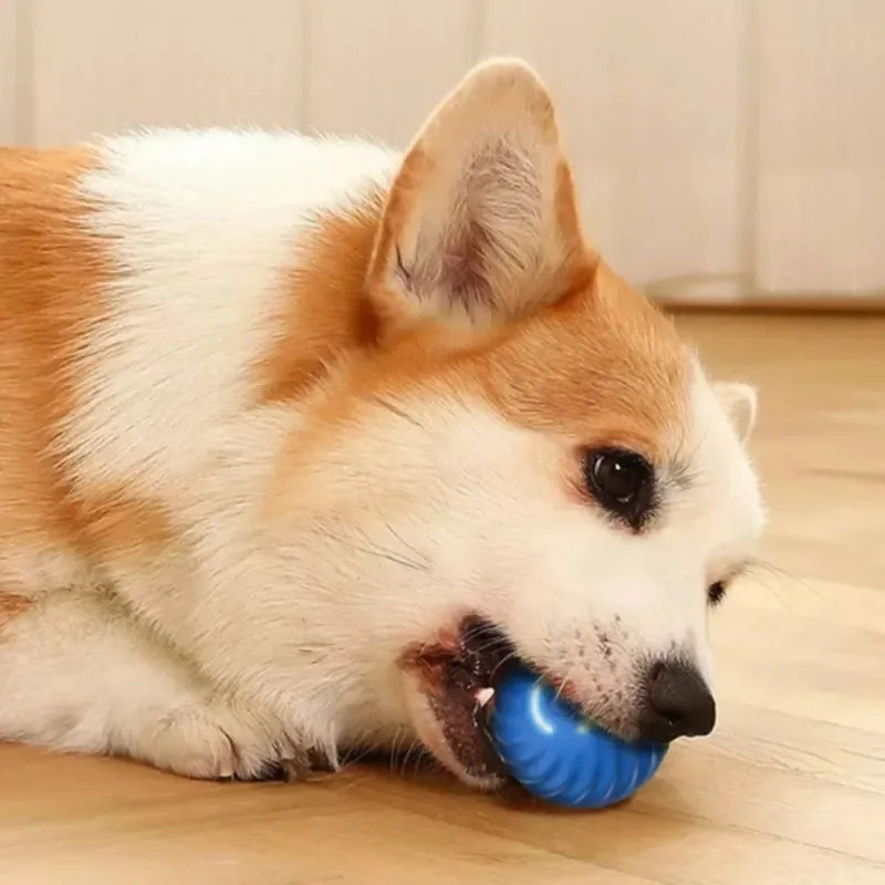 Intelligent Interactive Dog Toy