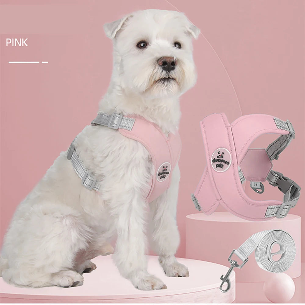 No Pull Harness Leash Set