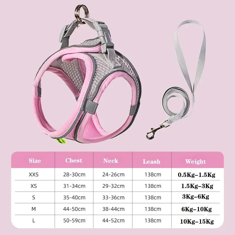 Dog Harness Leash Set