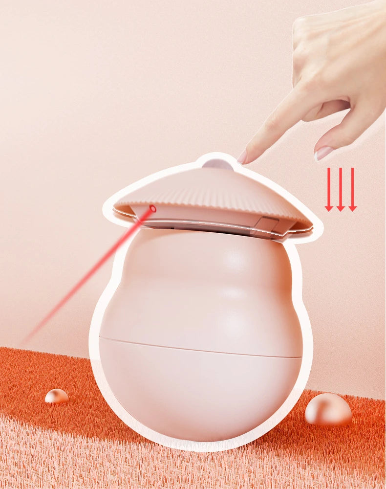 Timed Automatic Cat Laser