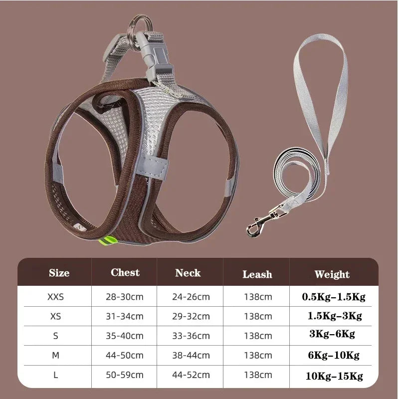 Dog Harness Leash Set
