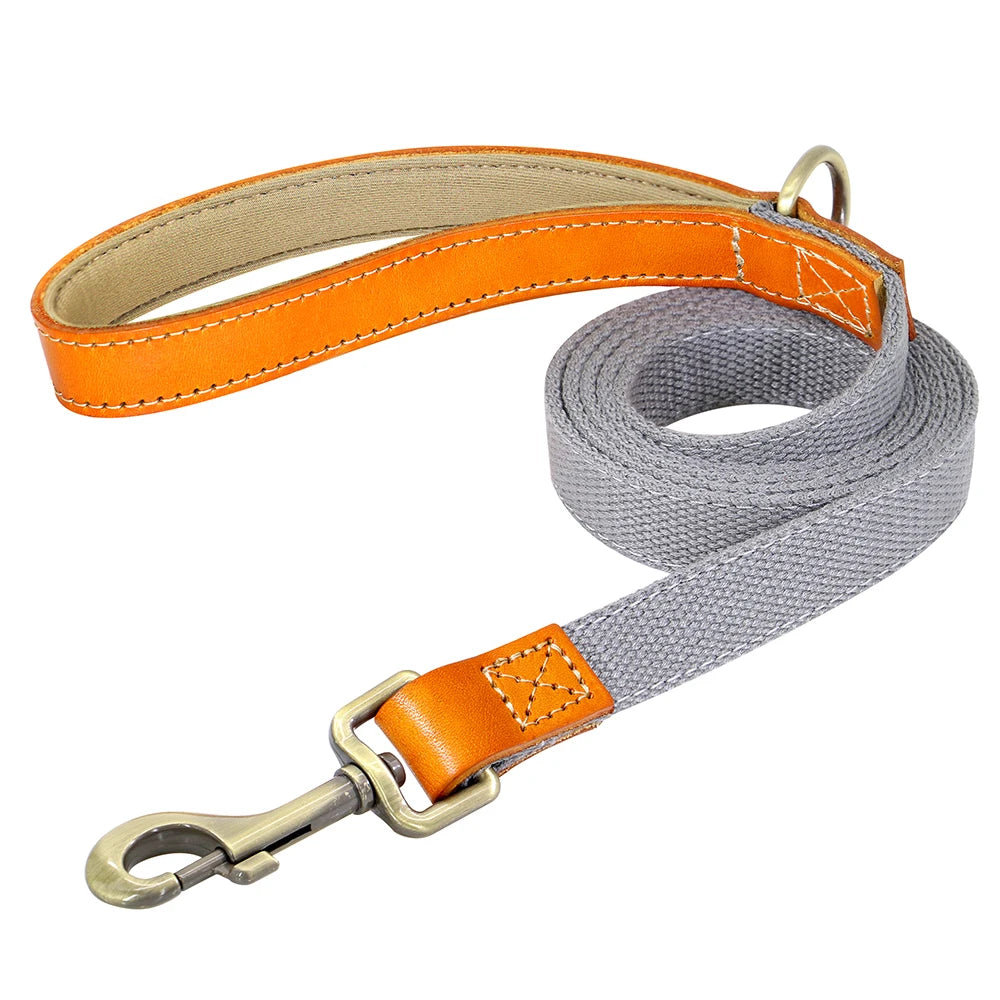 Nylon Dog Walking Leash