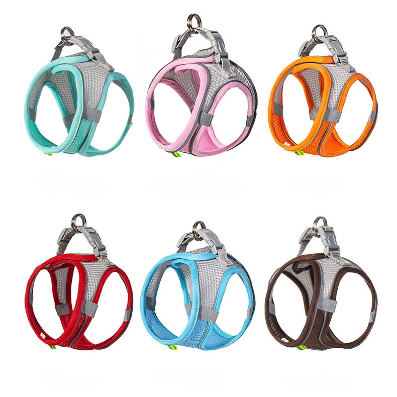 Dog Harness Leash Set