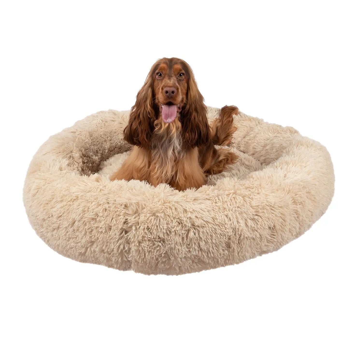 Hooded Orthopedic Dog Bed