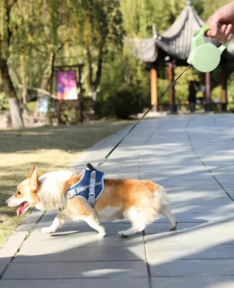 Adjustable Step In Harness