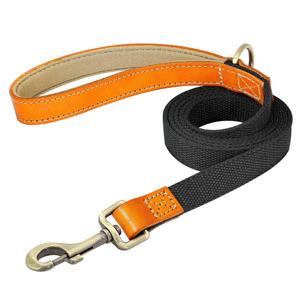 Nylon Dog Walking Leash