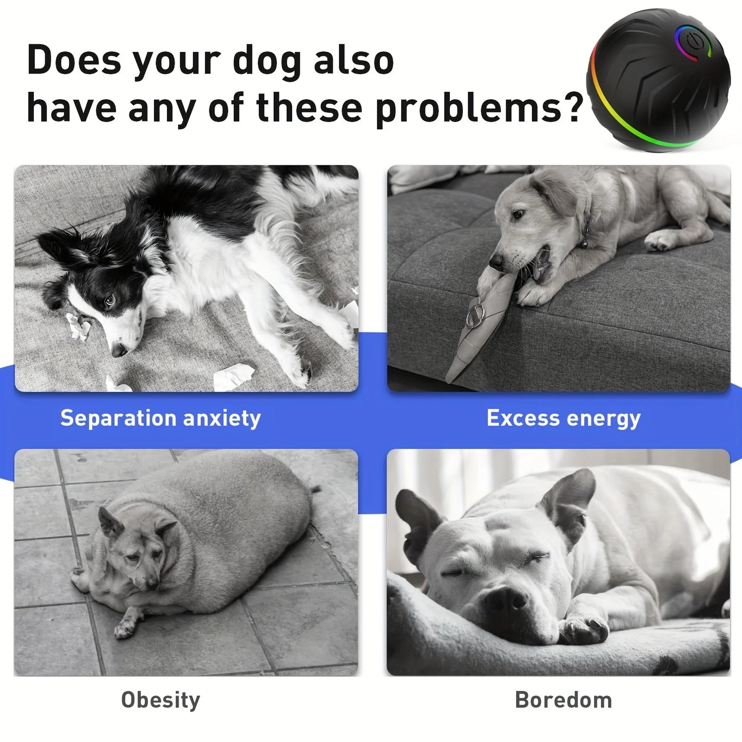 Plush Handle Dog Ball