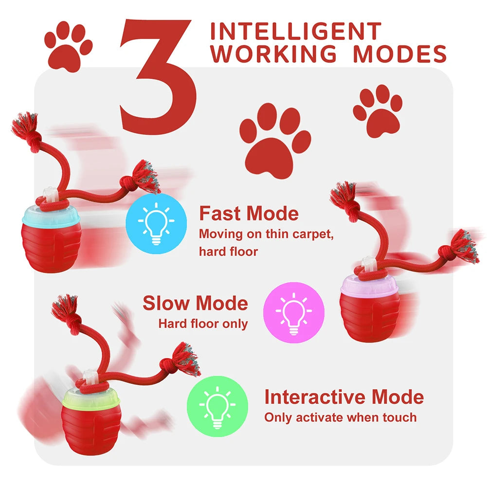 Treat Dispensing Dog Ball