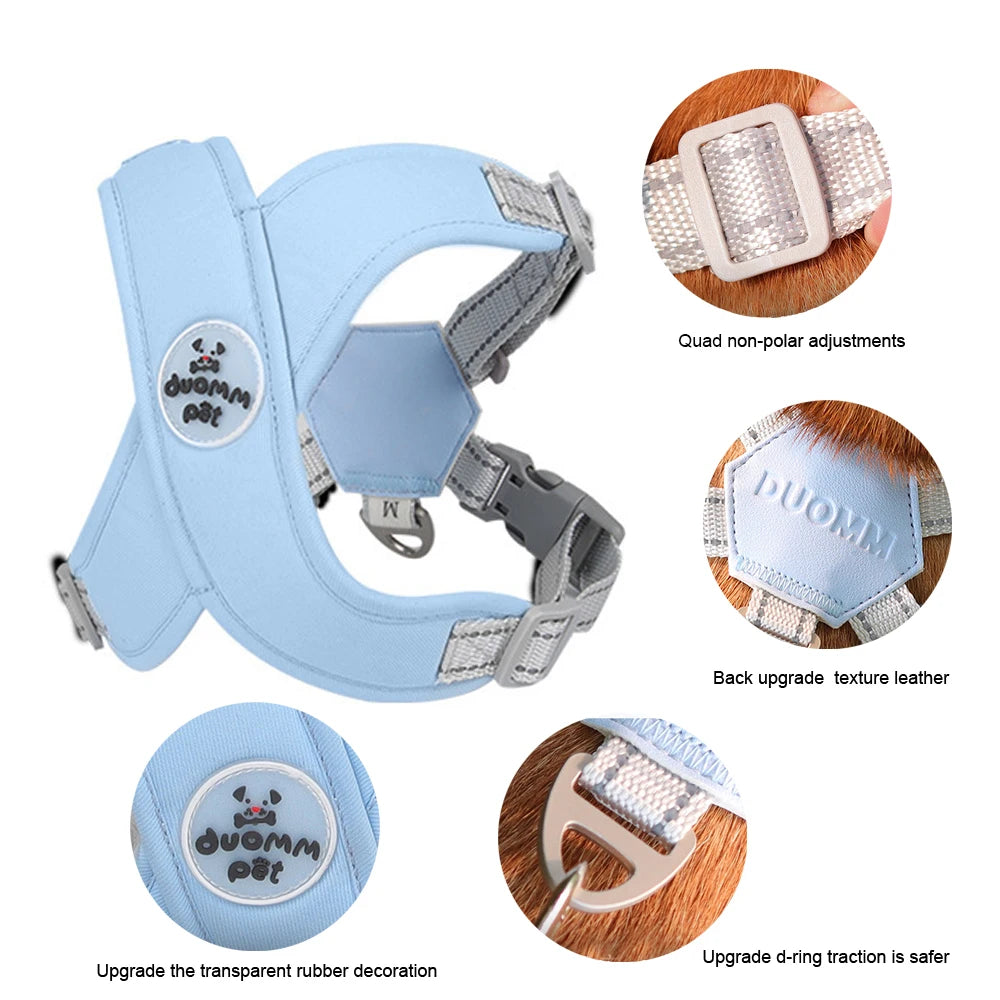 No Pull Harness Leash Set