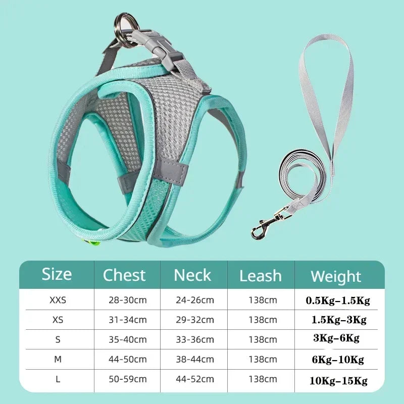 Dog Harness Leash Set
