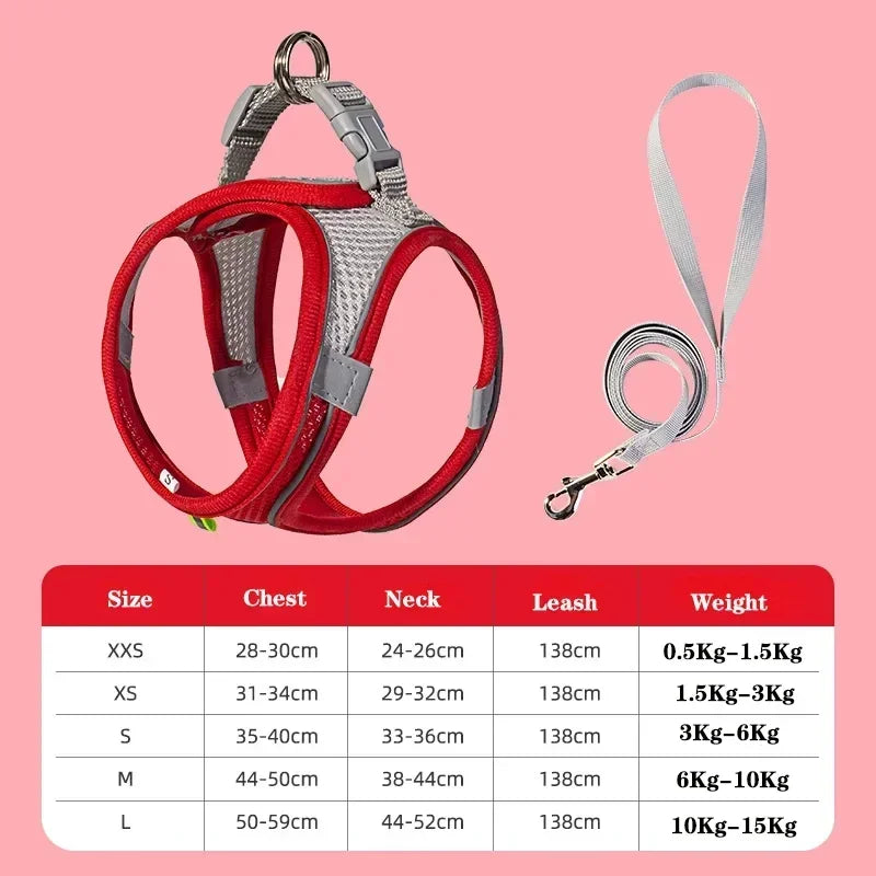 Dog Harness Leash Set