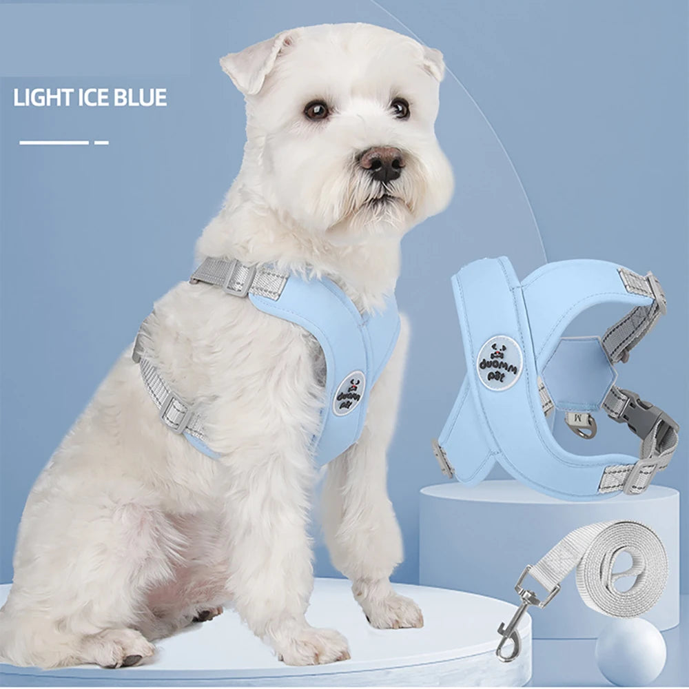 No Pull Harness Leash Set