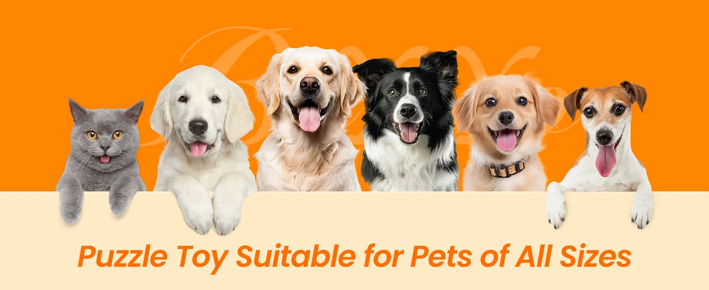 Interactive Food Dispenser Toy