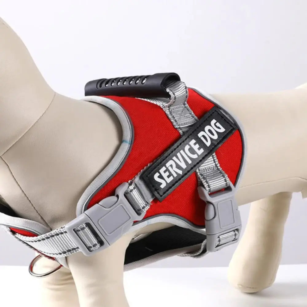 Adjustable No Pull Harness