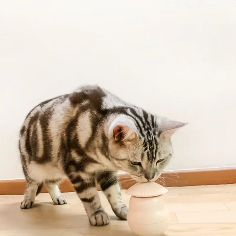 Timed Automatic Cat Laser