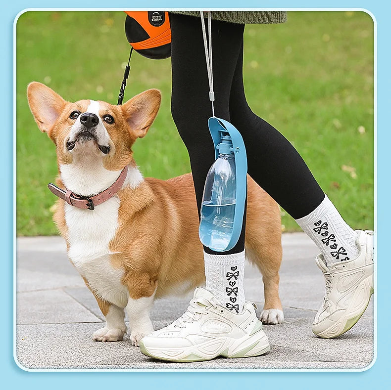 Foldable Dog Water Bottle